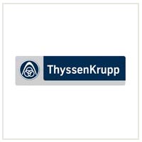 ThyssenKrupp Electrical Steel Ltd.